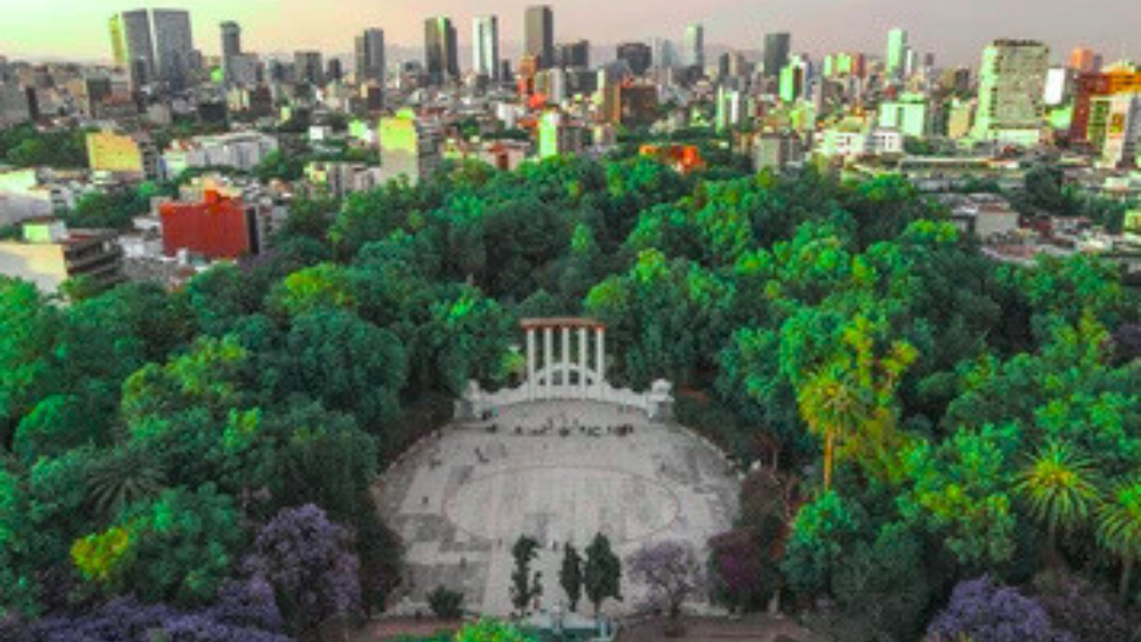 Roma Norte Dynamic Culture and Radiant Energy Lifestyle Guide