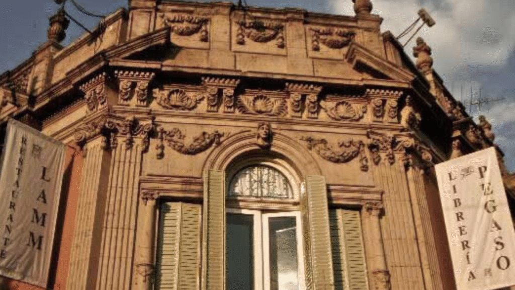 Exploring Roma Norte's Creativity and Art