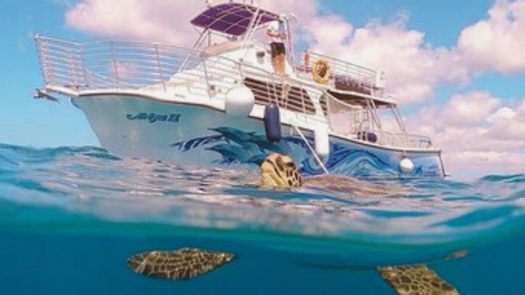 Cruise Along the North Shore and Feel Its Wild Energy