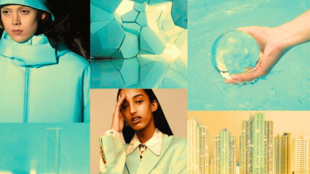 How Baddi Hub Shapes Fashion and Youth Style